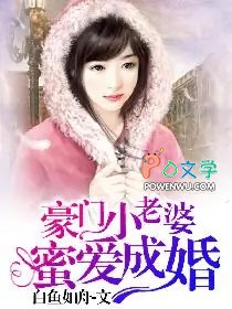 豪门小老婆:蜜嗳成婚